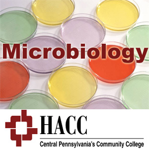 BIOL 221- Microbiology - eb BIOL 221- Microbiology - eb